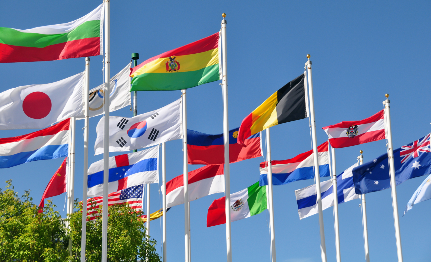 Alles je moet over de vlaggen van de wereld Holland Vlaggen